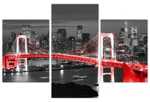 Nočná fotka mosta - obraz (Obraz 90x60cm)
