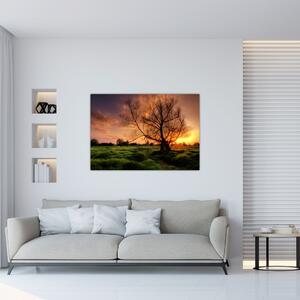 Západ slnka, obrazy (Obraz 60x40cm)