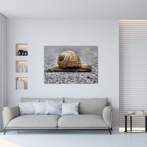 Ulita slimáka, obraz na stenu (Obraz 60x40cm)