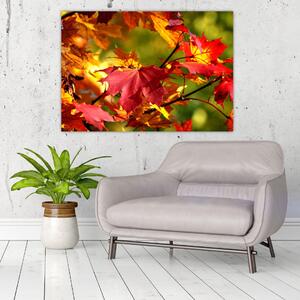 Jesenné lístie, obraz (Obraz 60x40cm)