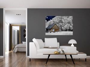 Chaloupka v zime, obrazy (Obraz 60x40cm)