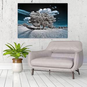 Strom v zime, obraz na stenu (Obraz 60x40cm)