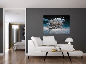 Strom v zime, obraz na stenu (Obraz 60x40cm)