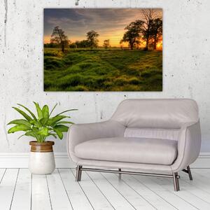 Západ slnka v krajine, obrazy (Obraz 60x40cm)