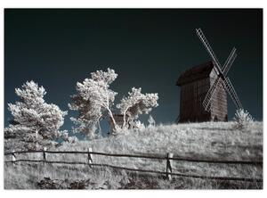 Veterný mlyn, obraz (Obraz 60x40cm)