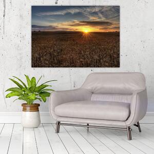 Západ slnka na poli - obraz na stenu (Obraz 60x40cm)