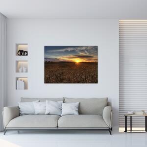 Západ slnka na poli - obraz na stenu (Obraz 60x40cm)
