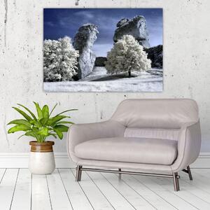 Zimná krajina - obraz do bytu (Obraz 60x40cm)