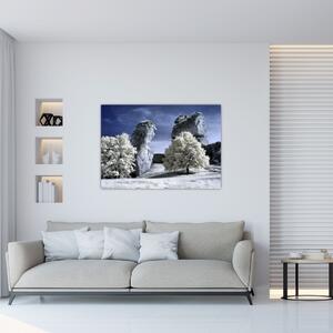 Zimná krajina - obraz do bytu (Obraz 60x40cm)