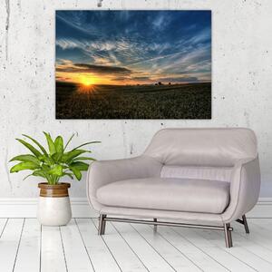 Západ slnka na poli - moderný obraz (Obraz 60x40cm)