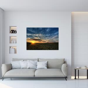 Západ slnka na poli - moderný obraz (Obraz 60x40cm)