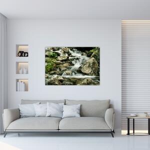 Horský vodopád - obraz (Obraz 60x40cm)