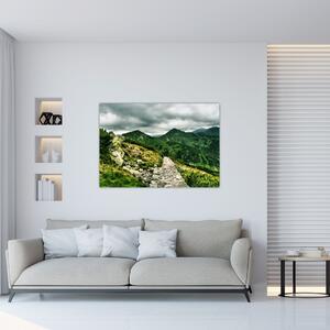 Horská cesta - obraz na stenu (Obraz 60x40cm)