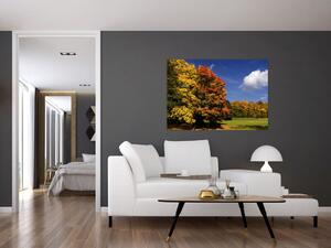 Jesenné stromy - obraz do bytu (Obraz 60x40cm)