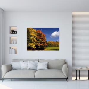 Jesenné stromy - obraz do bytu (Obraz 60x40cm)