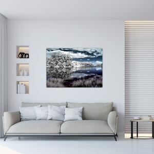 Zimná krajina - obraz (Obraz 60x40cm)