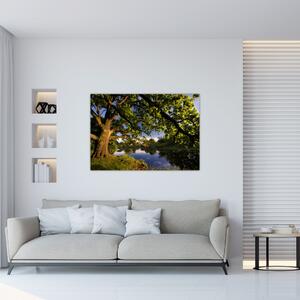 Obrázok stromu - moderné obrazy (Obraz 60x40cm)