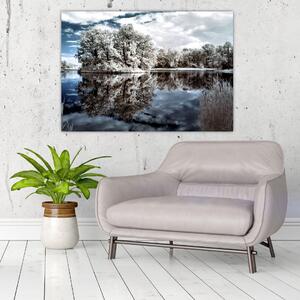 Zimná krajina - obrazy (Obraz 60x40cm)