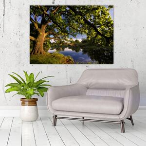 Obrázok stromu - moderné obrazy (Obraz 60x40cm)