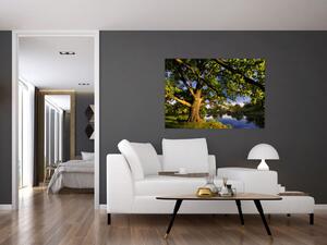 Obraz stromu (Obraz 60x40cm)