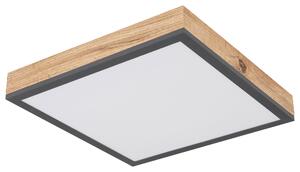 LED PANEL, 30/30/6 cm Globo - Online Only bytové doplnky, Online Only