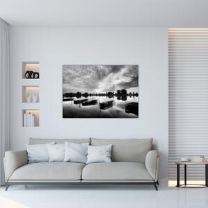 Lode na jazere - obraz (Obraz 60x40cm)