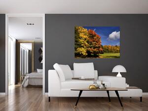 Jesenné stromy - moderný obraz (Obraz 60x40cm)