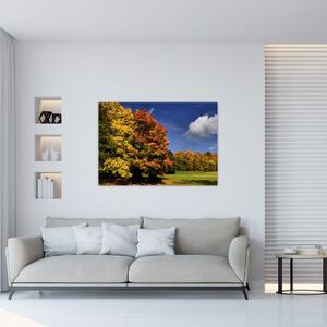 Jesenné stromy - moderný obraz (Obraz 60x40cm)