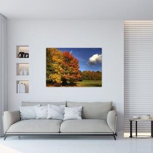 Jesenné stromy - obraz (Obraz 60x40cm)