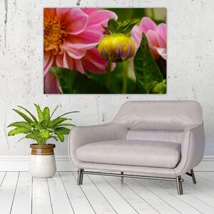 Obraz kvetu rastliny (Obraz 60x40cm)
