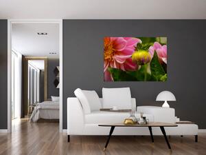 Obraz kvetu rastliny (Obraz 60x40cm)