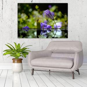 Modrá kvetina - obraz (Obraz 60x40cm)