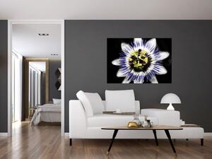 Obrazy kvetov (Obraz 60x40cm)