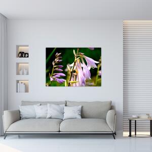 Kvety - obraz (Obraz 60x40cm)