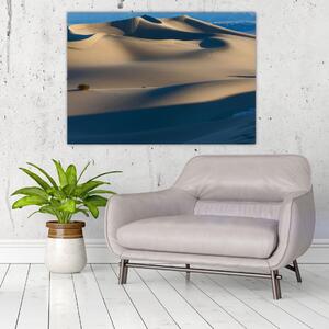 Púšť - obraz (Obraz 60x40cm)