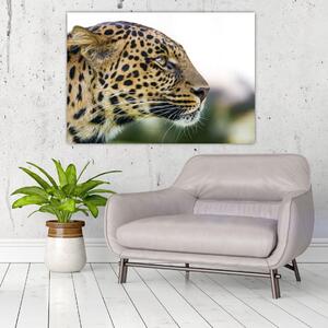 Leopard - obraz (Obraz 60x40cm)