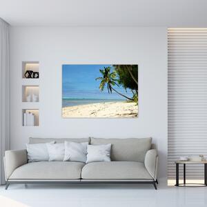Fotka pláže - obraz (Obraz 60x40cm)