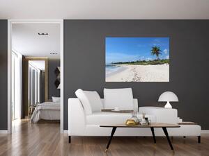 Exotická pláž - obraz (Obraz 60x40cm)