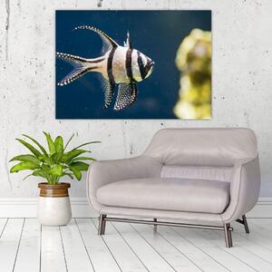 Ryba - obraz (Obraz 60x40cm)