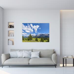 Fotka hôr - obraz (Obraz 60x40cm)