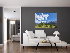 Fotka hôr - obraz (Obraz 60x40cm)