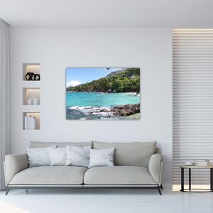 Obraz pláže (Obraz 60x40cm)