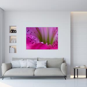 Detail kvetu - moderný obraz (Obraz 60x40cm)