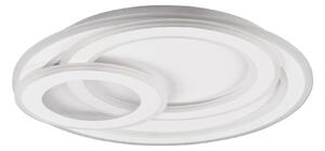 STROPNÉ LED SVIETIDLO, 51/7 cm Novel - Interiérové svietidlá