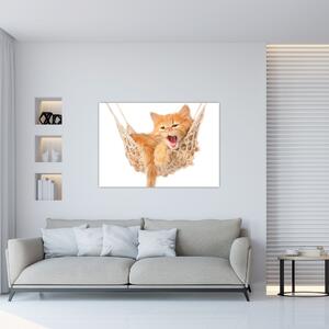 Obraz mačiatka (Obraz 60x40cm)