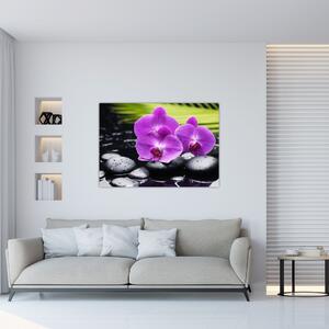 Obraz - orchidea (Obraz 60x40cm)
