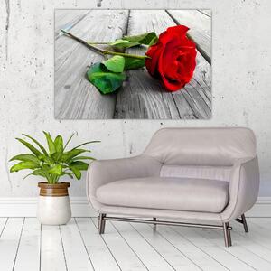 Ruža červená - obraz (Obraz 60x40cm)