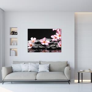Kvety - obraz (Obraz 60x40cm)