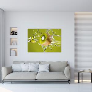 Kiwi - obraz (Obraz 60x40cm)