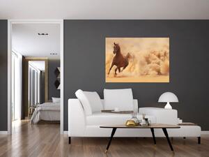 Cválajúci kôň - obraz (Obraz 60x40cm)